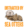 Sea otter