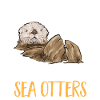 Sea otter