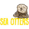 Sea otter