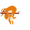 Big Brother 2024 Sloth