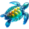 Tortue
