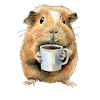 Meerschweinchen Kaffee Lustig Geschenk