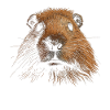 Guinea Pig Funny Gift