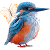 Kingfisher