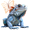 Iguana