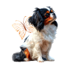Japanese chin