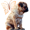 Pug