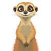 Erdmännchen