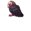 Chemise de nuit officielle Vulture