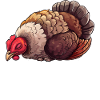 Official Sleepshirt Turkey
