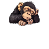 Official Sleep Shirt Monkey