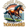 Thoroughbred