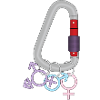 Gender Carabiner