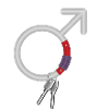 Carabiner Male