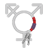 Carabiner Transgender