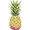 Summer Pineapple - Annanas