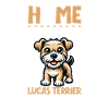 Accueil - Lucas Terrier