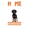 Home - Montenegrin Mountain Hound