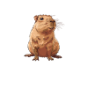 Capybara be capy