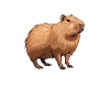 Capybara be capy