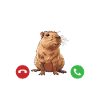 Capybara is calling
