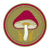 Mystic mushroom
