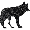 Wild Wolf
