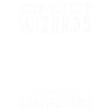 Circuit Wizards Expert Electrician Making