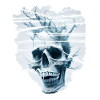 abby skull
