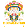 Funny Cinco De Mayo Mexico