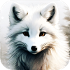 Renard polaire cool