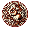 Cute Chipmunk