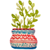 Potted plant
