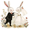 Bride and groom rabbits