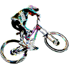 mtb vtt descente
