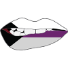 Biting Lips - Demisexual Flag