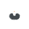 Humour autruche
