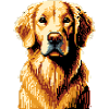 Pixel Golden Retriever