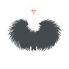 ostrich
