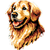 Pixel Golden Retriever