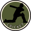 Pitcher Pitcher Cricket