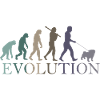L’ÉVOLUTION DU CARLIN