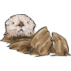 Sea otter