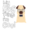 My dog thinks I'm cool