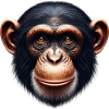 Singe chimpanzé