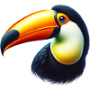 Toucan
