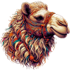 Camel