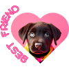 best friend