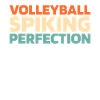 Volley-ball Volley-ball