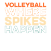 Volleyball Volleyballer